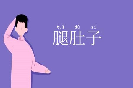 腿肚子