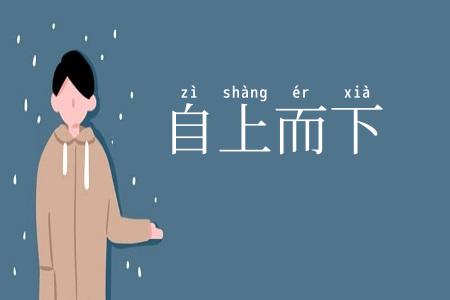 自上而下