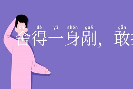 舍得一身剐,敢把皇帝拉下马
