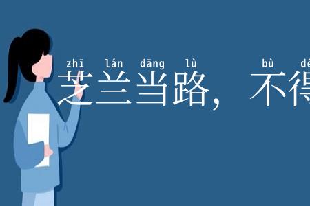 芝兰当路，不得不锄