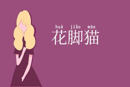 花脚猫
