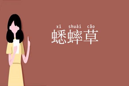 蟋蟀草