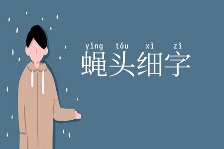 蝇头细字