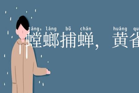 螳螂捕蝉,黄雀在后