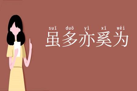 虽多亦奚为