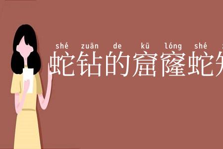 蛇钻的窟窿蛇知道