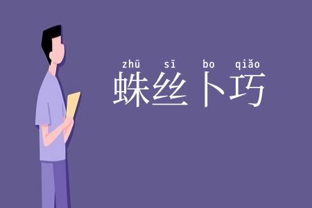 蛛丝卜巧
