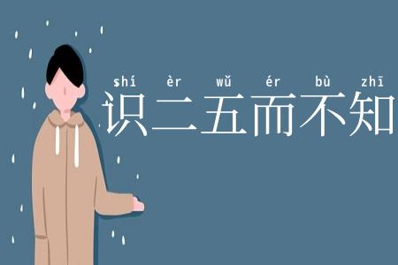 识二五而不知十