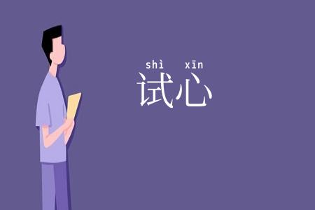 试心