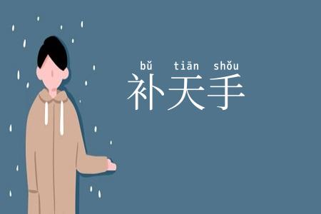 补天手