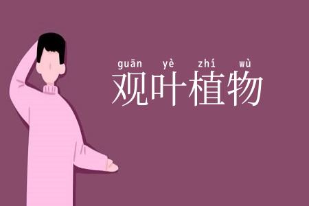 观叶植物