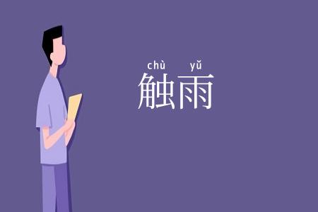 触雨