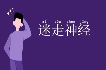 迷走神经