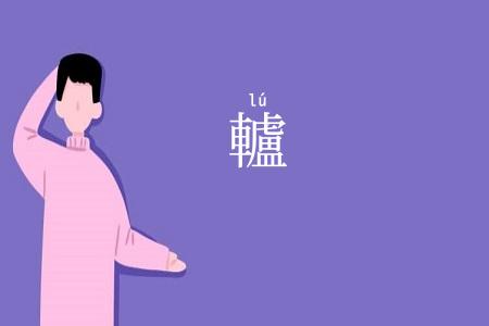 轤
