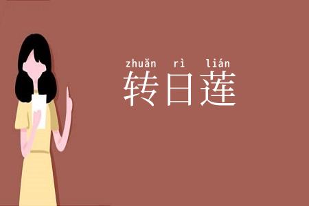 转日莲