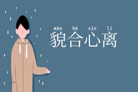 貌合心离
