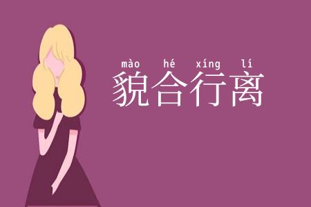 貌合行离