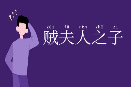 贼夫人之子