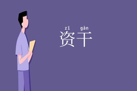 资干
