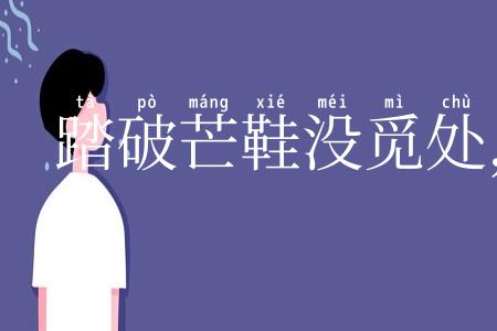 踏破芒鞋没觅处,得来全不费工夫