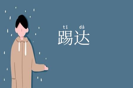 踢达