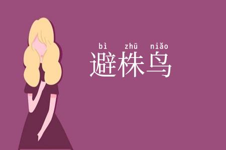 避株鸟