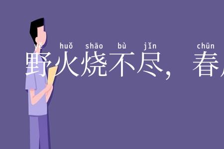 野火烧不尽,春风吹又生