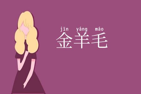 金羊毛