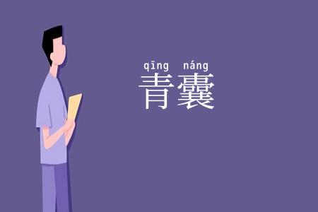 青囊