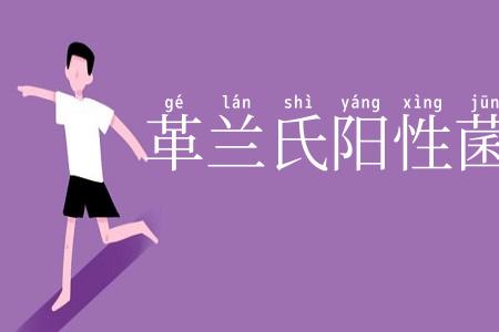革兰氏阳性菌