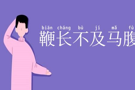 鞭长不及马腹