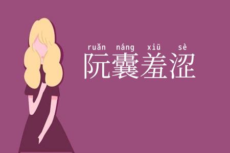 阮囊羞涩