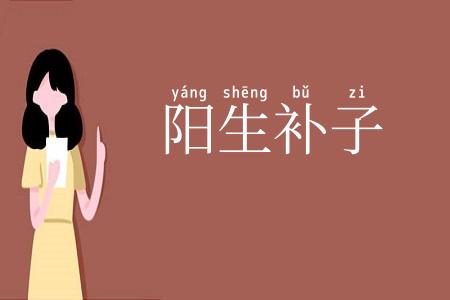 阳生补子
