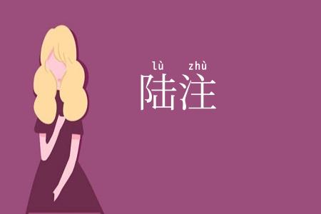 陆注