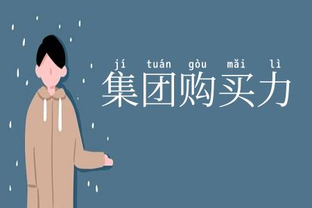 集团购买力