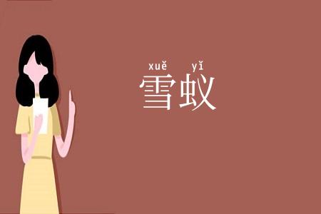 雪蚁