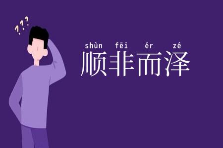 顺非而泽