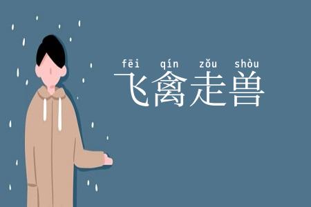 飞禽走兽