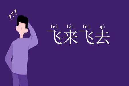 飞来飞去