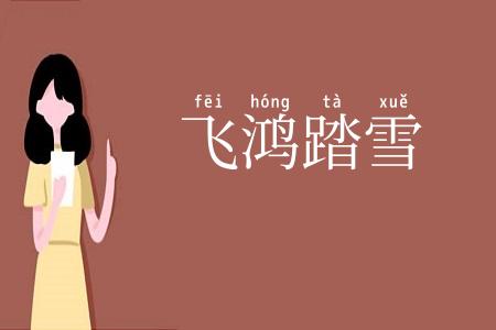 飞鸿踏雪