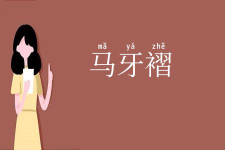 马牙褶