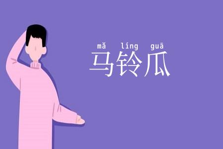 马铃瓜