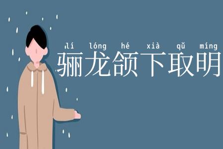 骊龙颌下取明珠