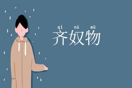 齐奴物