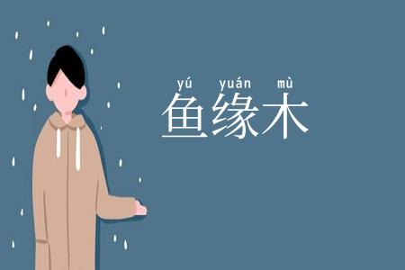 鱼缘木