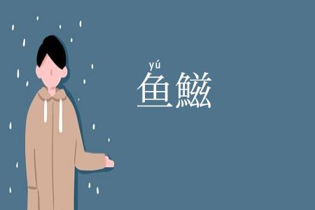 鱼鰦