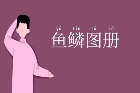 鱼鳞图册