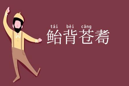 鲐背苍耈
