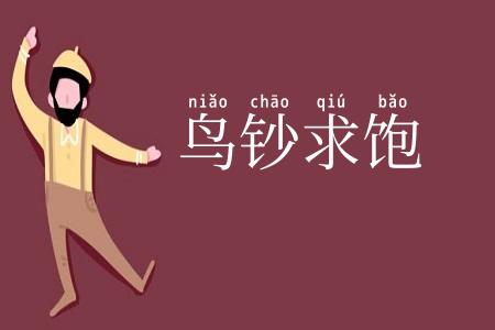 鸟钞求饱