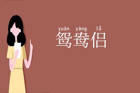 鸳鸯侣